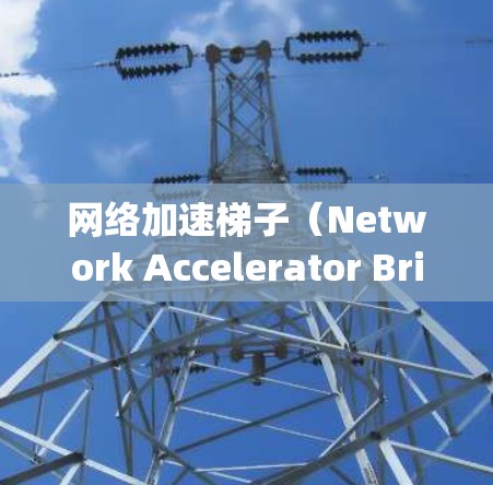 网络加速梯子(Network Accelerator Bridge)是一种用于加速网络连接的工具,通常用于提升下载速度、防止网络卡顿或文件传输速度过慢的情况。它通常由连接、加速软件和一些配置选项组成 网络加速梯子(Network Accelerator Bridge)是一种用于加速网络连接的工具,通常用于提升下载速度、防止网络卡顿或文件传输速度过慢的情况。它通常由连接、加速软件和一些配置选项组成