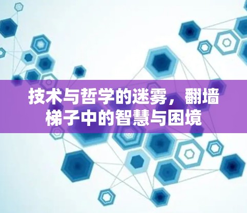 技术与哲学的迷雾，翻墙梯子中的智慧与困境