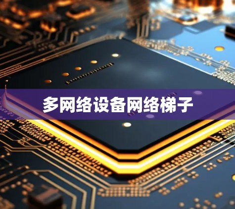 多网络设备网络梯子