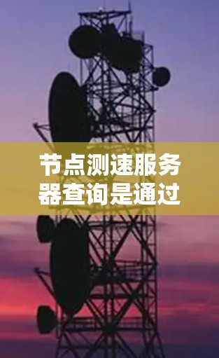 节点测速服务器查询是通过节点运行的测速服务器来检测和监控网络流量的技术。以下是详细的步骤和注意事项