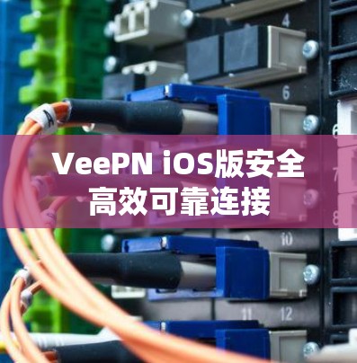 VeePN iOS版安全高效可靠连接