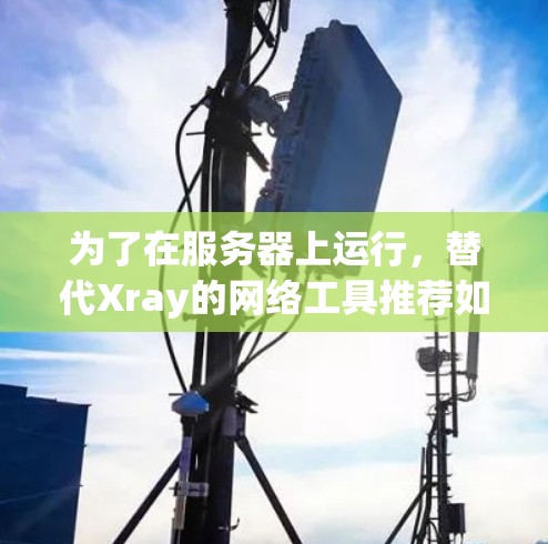 为了在服务器上运行，替代Xray的网络工具推荐如下