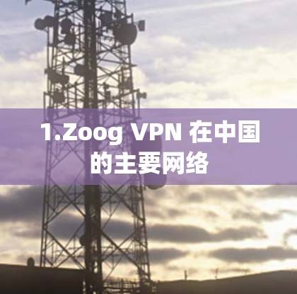 1.Zoog VPN 在中国的主要网络