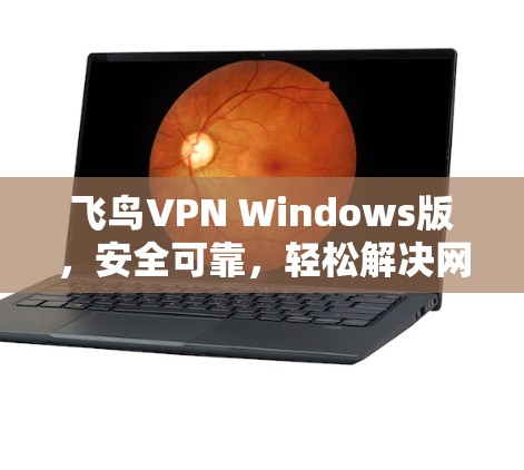 飞鸟VPN Windows版，安全可靠，轻松解决网络问题