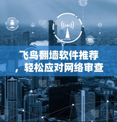 飞鸟翻墙软件推荐，轻松应对网络审查