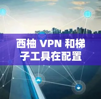 西柚 VPN 和梯子工具在配置和管理网络环境方面各有特点，具体适用性取决于您的需求和使用场景。以下是对两者进行的比较和评测