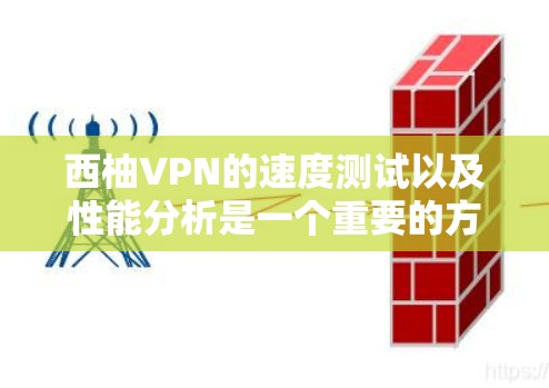 西柚VPN的速度测试以及性能分析是一个重要的方面，因为它直接影响用户在线体验和数据传输效率。以下是一些关于VPN性能的分析