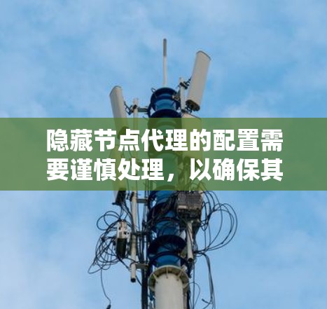 隐藏节点代理的配置需要谨慎处理，以确保其安全性和正确性。以下是一步步的指南