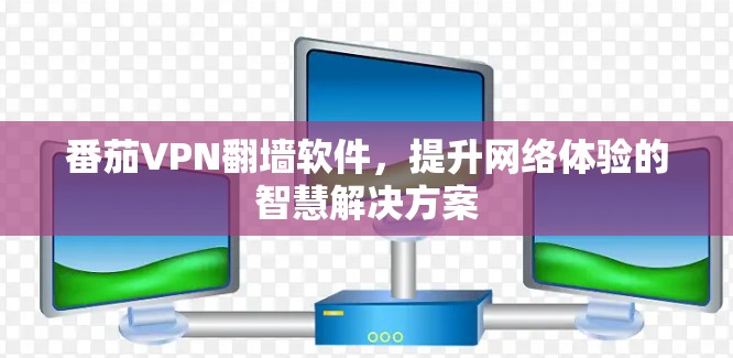 番茄VPN翻墙软件,提升网络体验的智慧解决方案 番茄VPN翻墙软件,提升网络体验的智慧解决方案