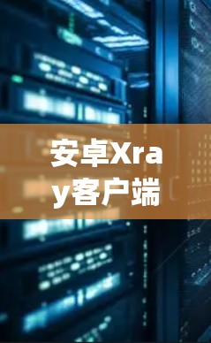 安卓Xray客户端科学设置解析 安卓Xray客户端科学设置解析