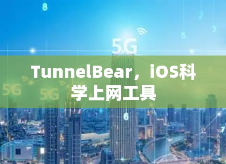 TunnelBear,iOS科学上网工具 TunnelBear,iOS科学上网工具