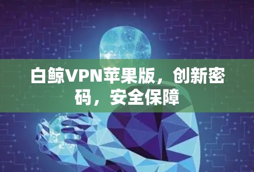 白鲸VPN苹果版,创新密码,安全保障 白鲸VPN苹果版,创新密码,安全保障