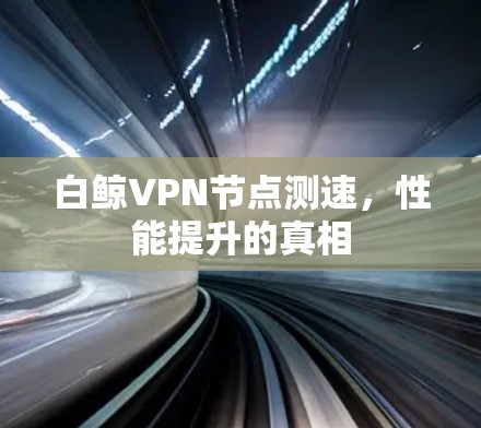 白鲸VPN节点测速,性能提升的真相 白鲸VPN节点测速,性能提升的真相