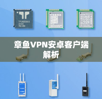 章鱼VPN安卓客户端解析 章鱼VPN安卓客户端解析