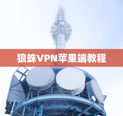 狼蛛VPN苹果端教程 狼蛛VPN苹果端教程