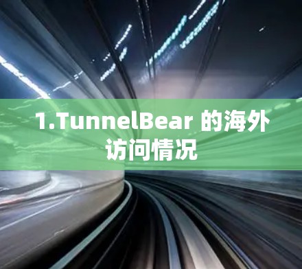 1.TunnelBear 的海外访问情况