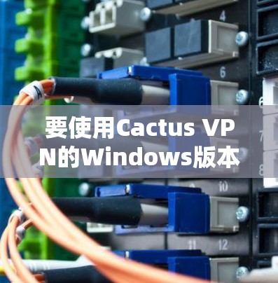 要使用Cactus VPN的Windows版本进行VPN配置，可以按照以下步骤操作