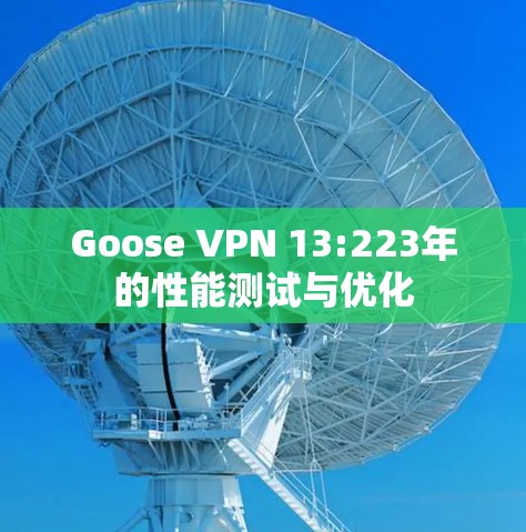 Goose VPN 13:223年的性能测试与优化 Goose VPN 13:223年的性能测试与优化