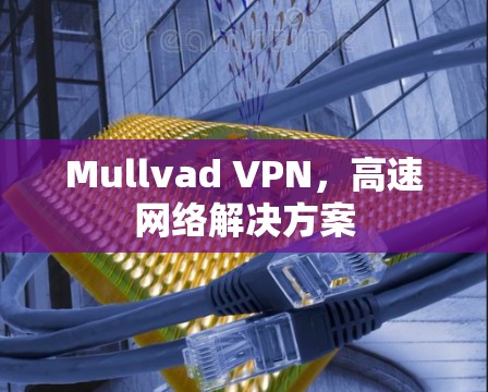 Mullvad VPN,高速网络解决方案 Mullvad VPN,高速网络解决方案