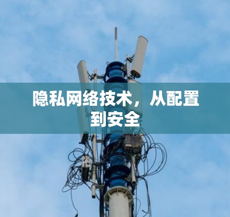 隐私网络技术,从配置到安全 隐私网络技术,从配置到安全