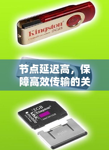 节点延迟高,保障高效传输的关键因素 节点延迟高,保障高效传输的关键因素
