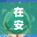 在安卓版本中，有很多工具和应用程序可以帮助加速手机的操作。以下是一些常见的加速器推荐和功能