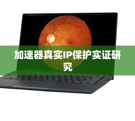 加速器真实IP保护实证研究