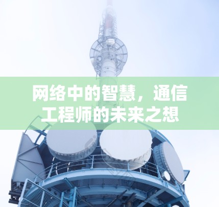 网络中的智慧，通信工程师的未来之想