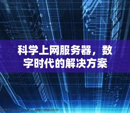 科学上网服务器,数字时代的解决方案 科学上网服务器,数字时代的解决方案