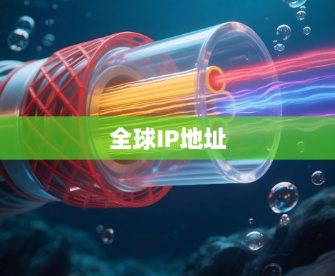 全球IP地址 全球IP地址