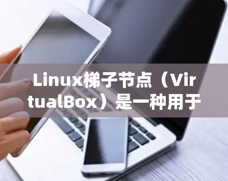 Linux梯子节点（VirtualBox）是一种用于部署大型Linux系统的企业级虚拟化设备。以下是一些关于Linux梯子节点的详细信息