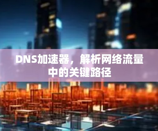 DNS加速器,解析网络流量中的关键路径 DNS加速器,解析网络流量中的关键路径