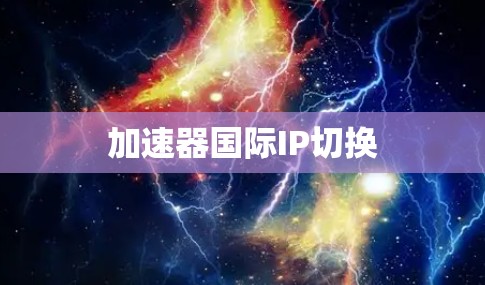 加速器国际IP切换