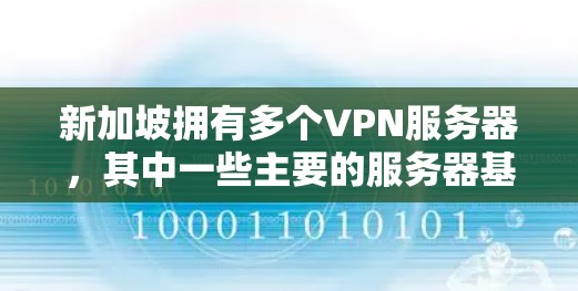 新加坡拥有多个VPN服务器，其中一些主要的服务器基于新加坡自身的高速网络，旨在提供多样的网络功能。以下是对新加坡VPN服务器的详细介绍