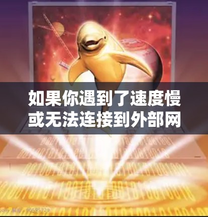 如果你遇到了速度慢或无法连接到外部网络的问题,可以考虑以下方法 如果你遇到了速度慢或无法连接到外部网络的问题,可以考虑以下方法