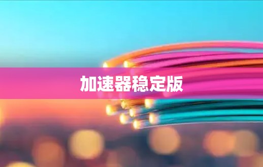 加速器稳定版