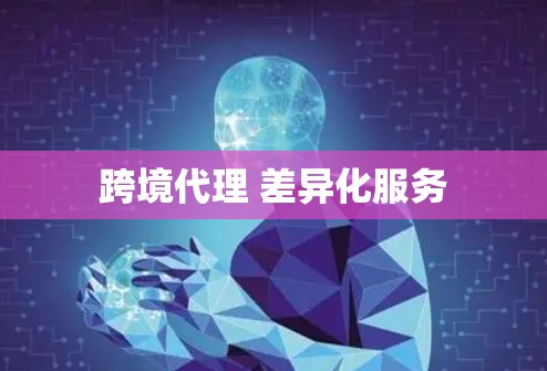跨境代理 差异化服务 跨境代理 差异化服务